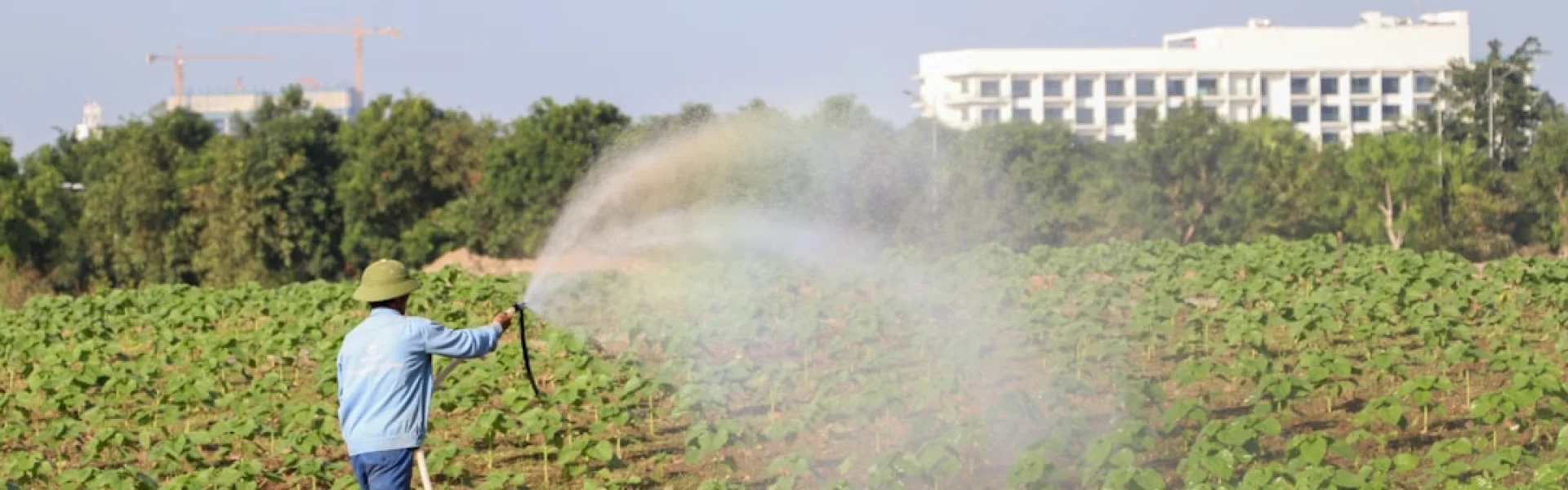 Shangdong Agriculture and Engineering University