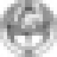 索诺拉大学 logo