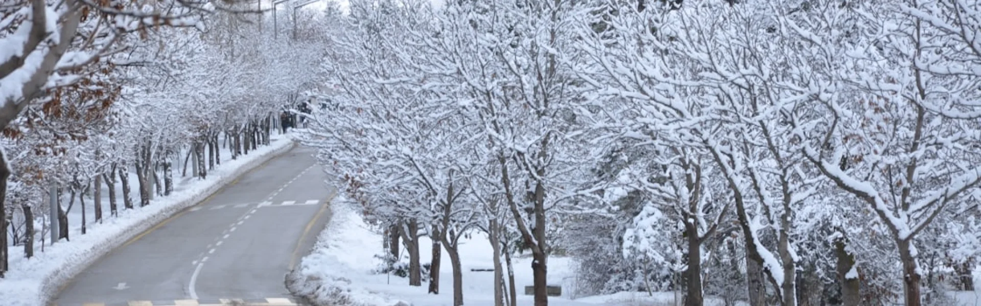 Middle Technical University