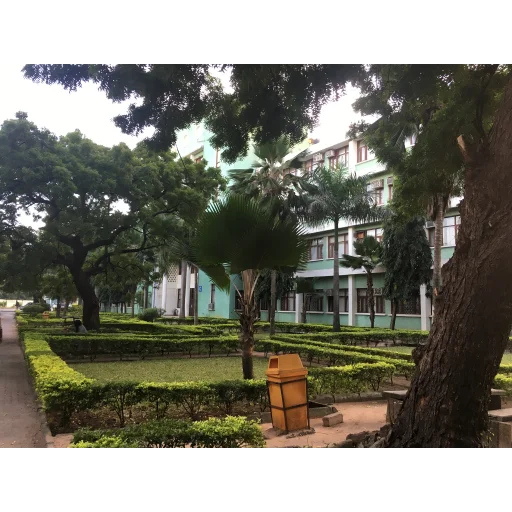Muhimbili University of Health and Allied Sciences