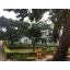 Muhimbili University of Health and Allied Sciences logo