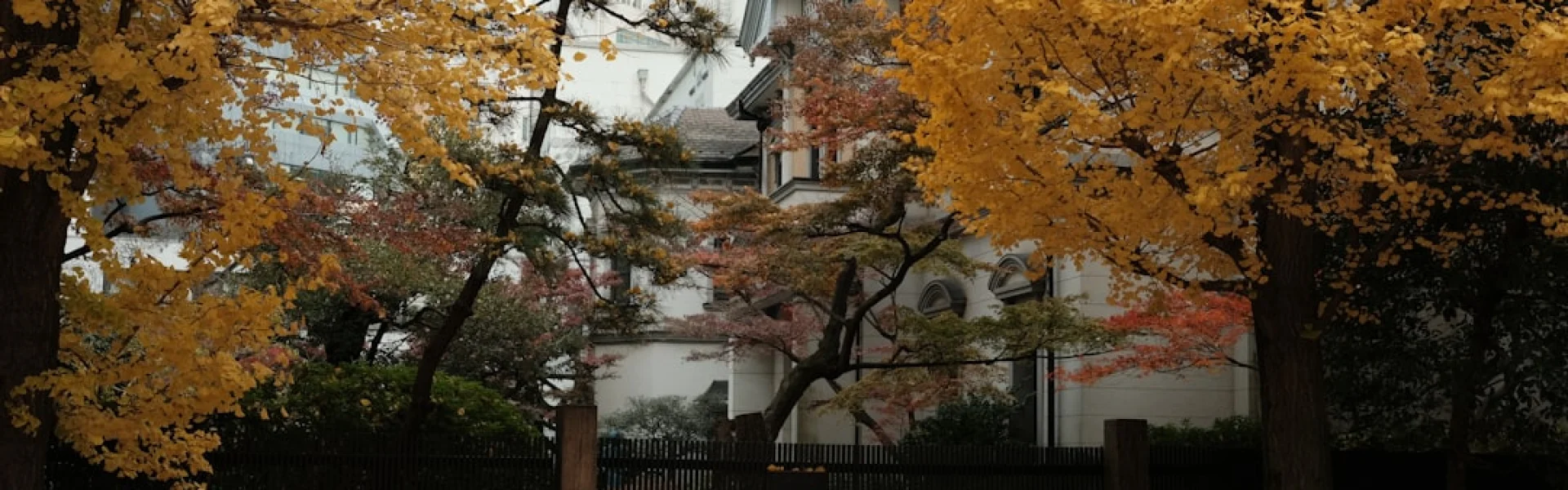 Sophia University