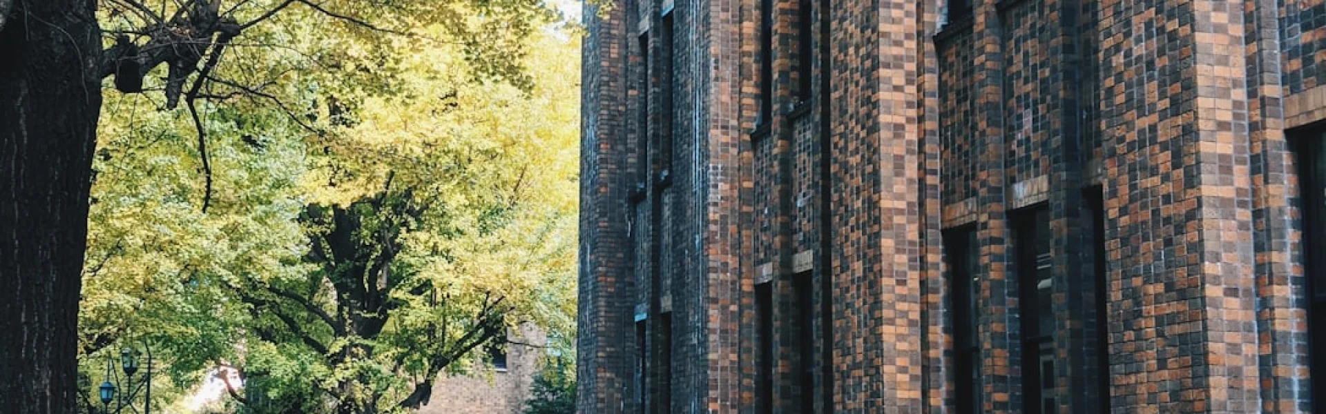 东京都市大学