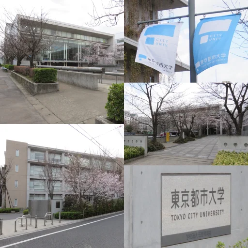 东京都市大学