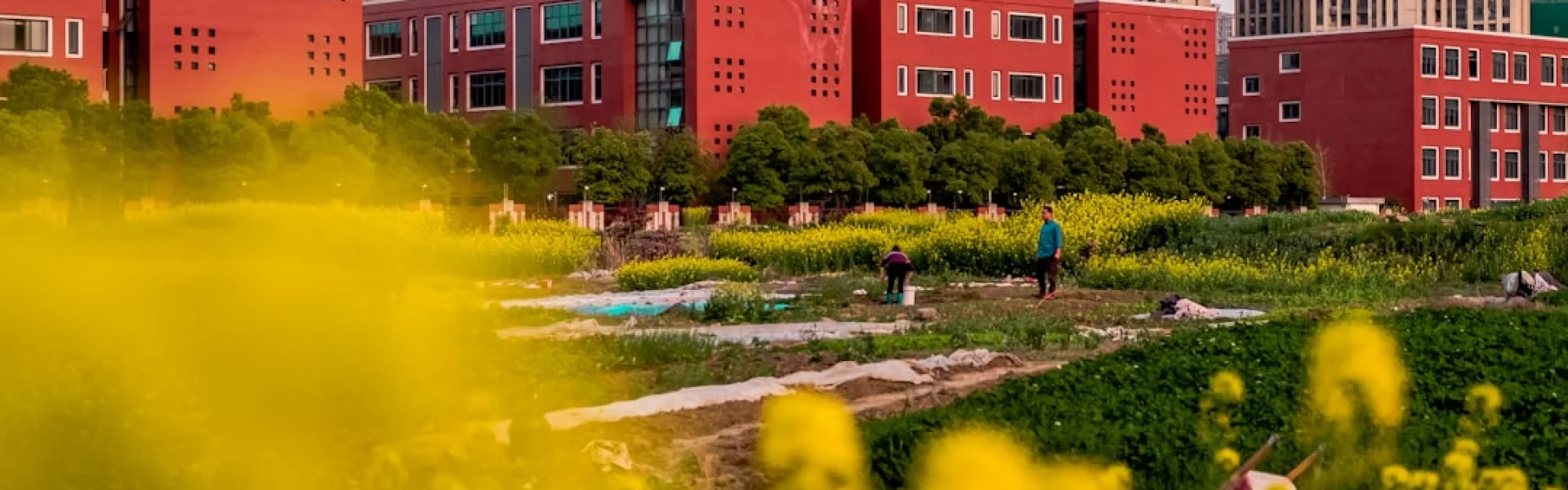 Jiangxi Academy of Agricultural Sciences