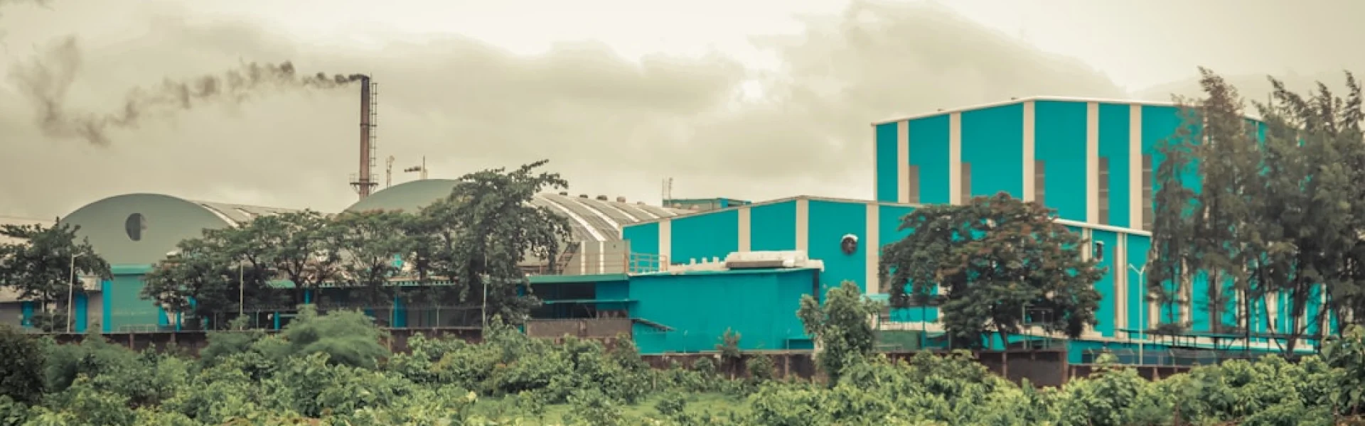 Jomo Kenyatta University of Agriculture and Technology
