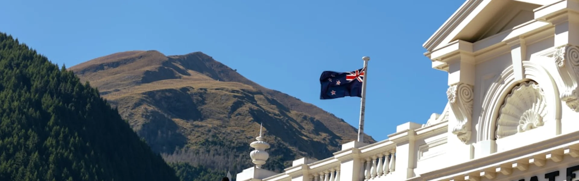 Royal Australian and New Zealand College of Psychiatrists
