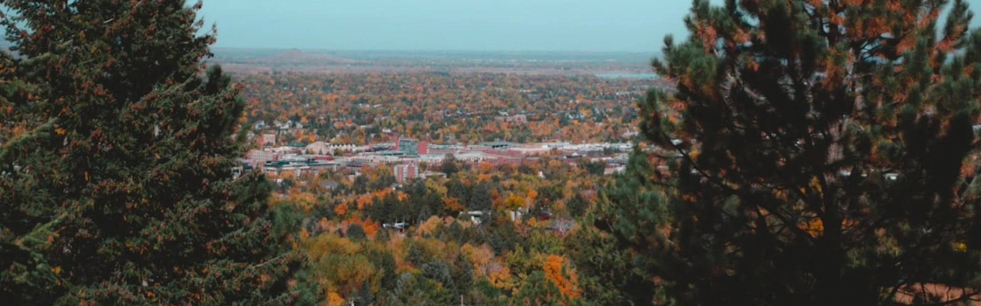 Midwest University