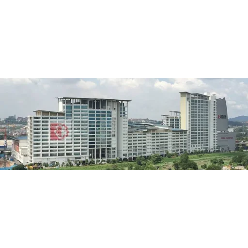 Management and Science University logo