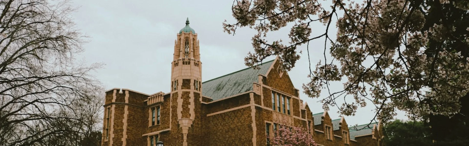华盛顿与李大学