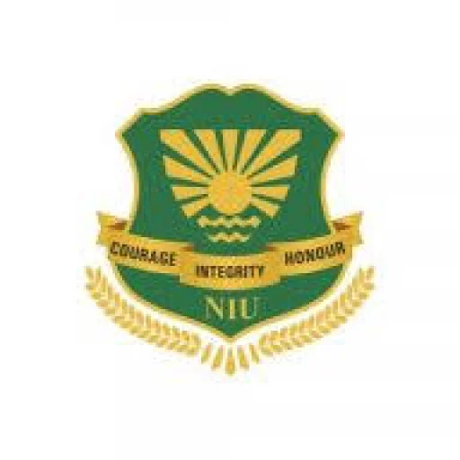 Noida International University