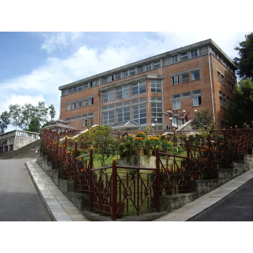 加德满都大学