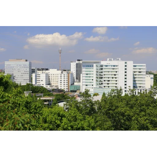 Fujita Health University