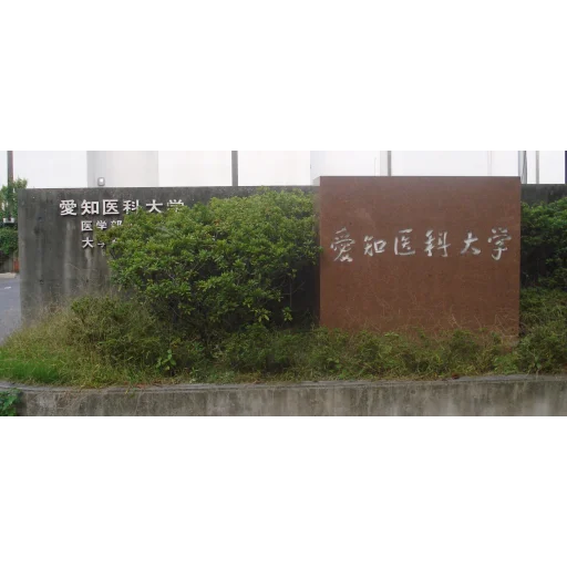 爱知医科大学