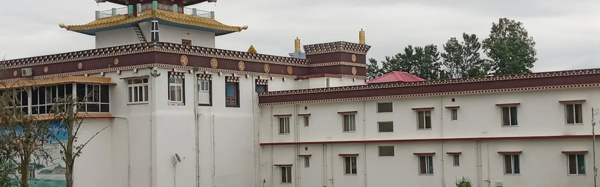 国立政治大学