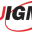 Universitas Indo Global Mandiri logo