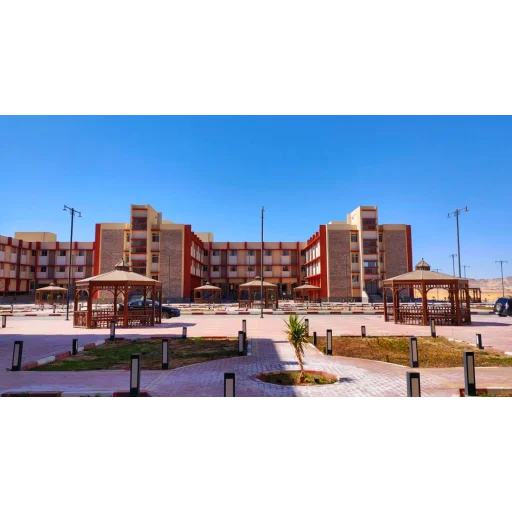 New Valley University