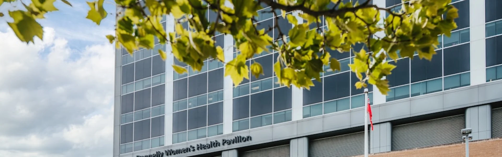 Environmental and Occupational Health Sciences Institute