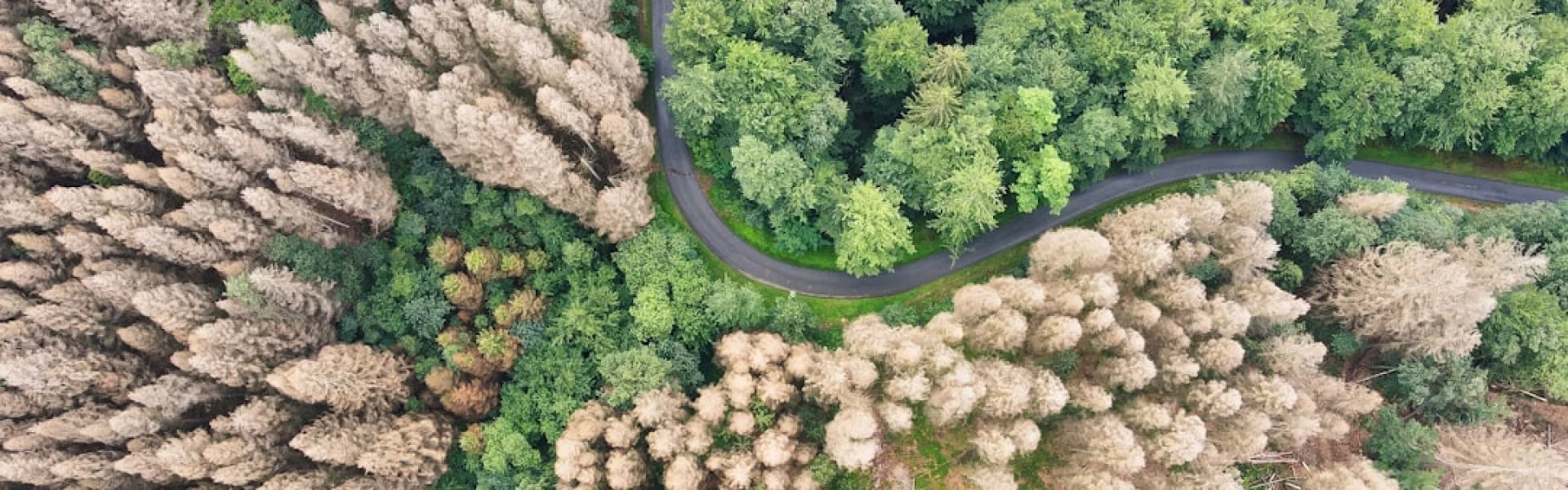 Leibniz Institute for the Analysis of Biodiversity Change