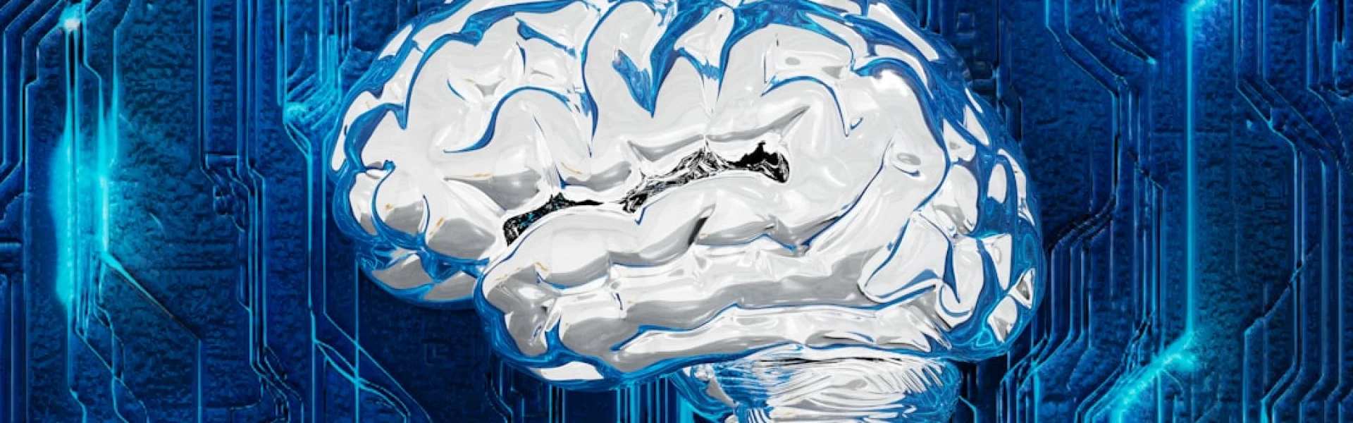 Center for Excellence in Brain Science and Intelligence Technology