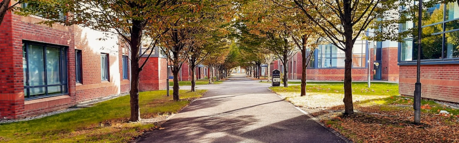 National University of Ireland, Maynooth