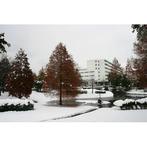 Gifu University logo