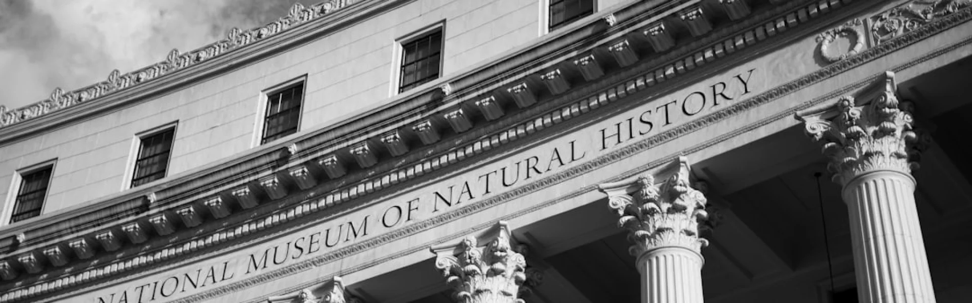 National University of Natural Medicine