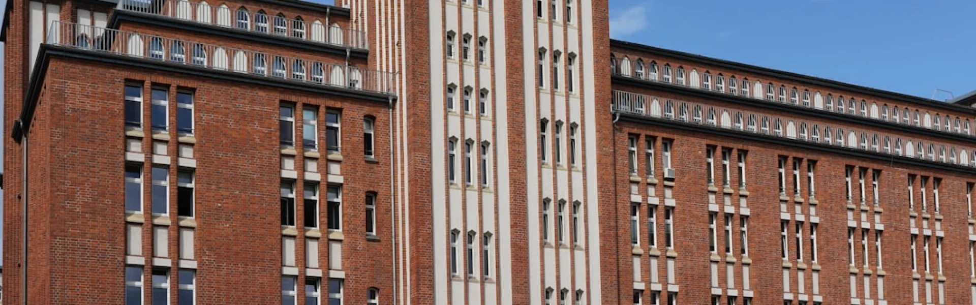 MSH Medical School Hamburg – University of Applied Sciences and Medical University