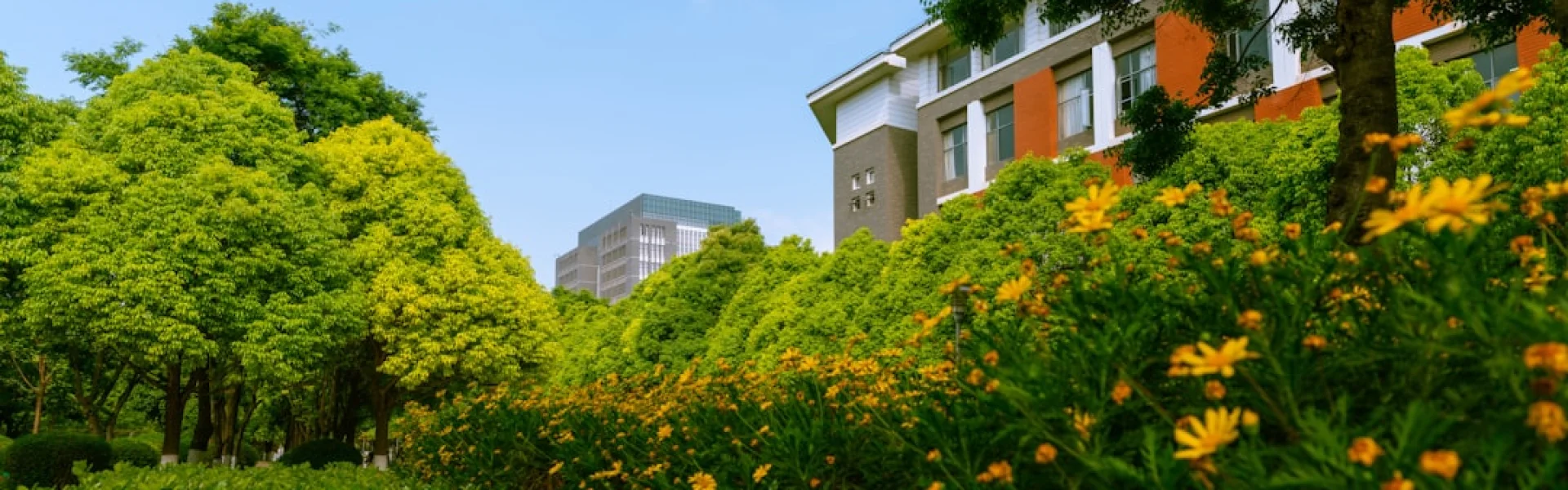 顺化师范学院