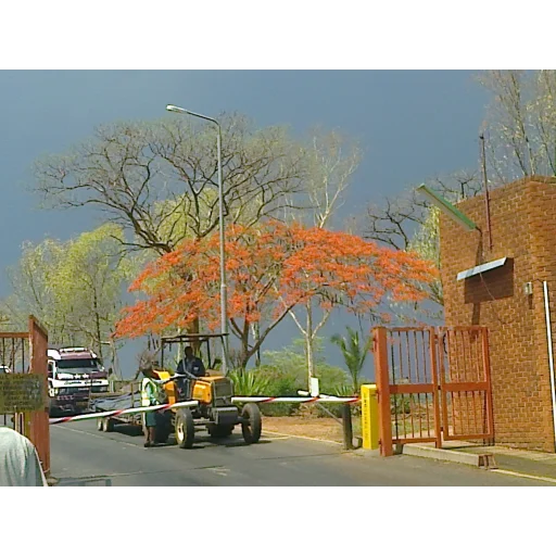 Chinhoyi University of Technology