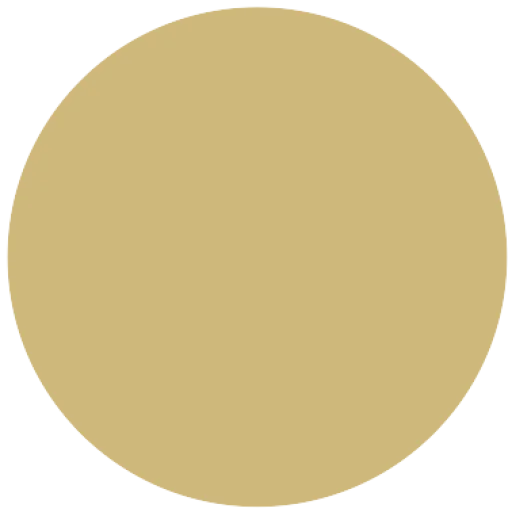 University of Colorado Boulder logo