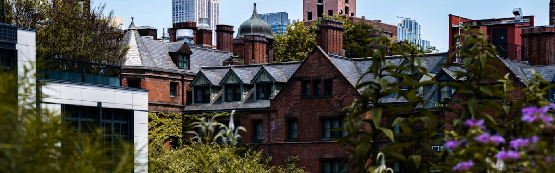 New York State University College of Human Ecology