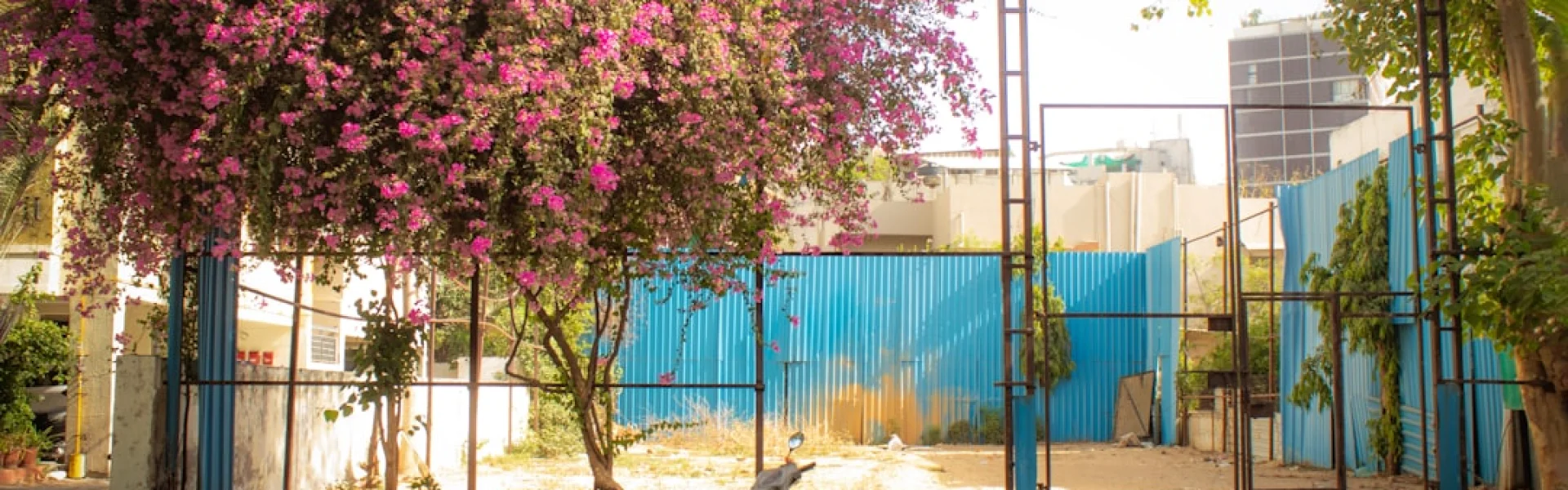 Indian Institute of Management Ahmedabad