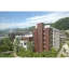 甲南大学 logo