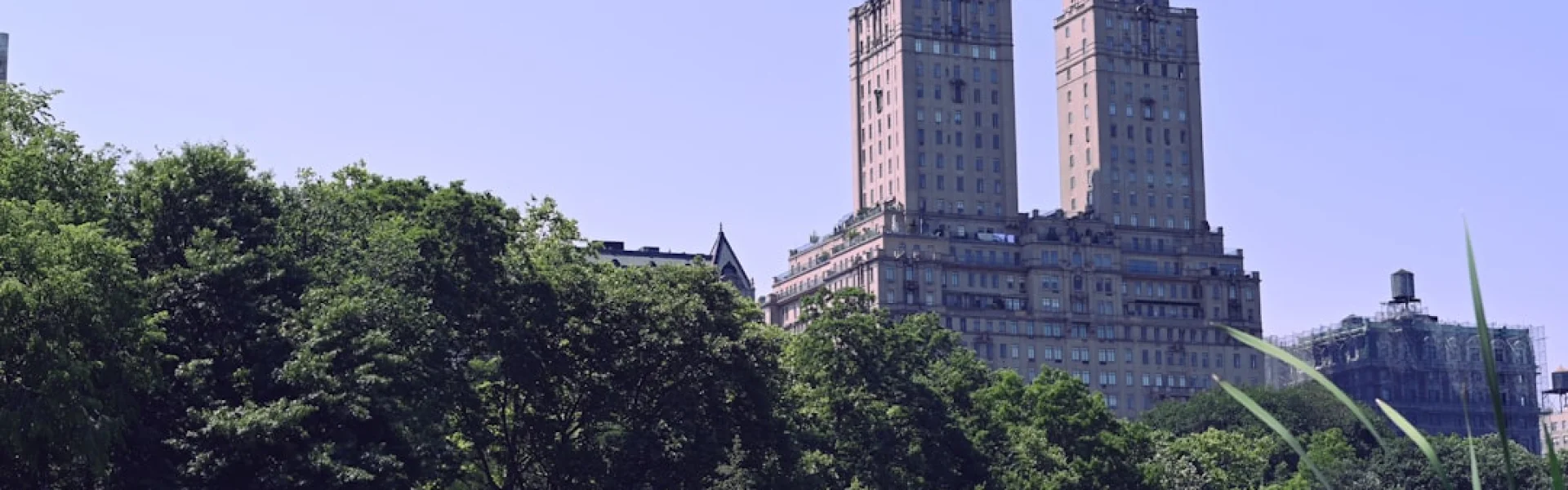 New York State College of Agriculture & Life Sciences