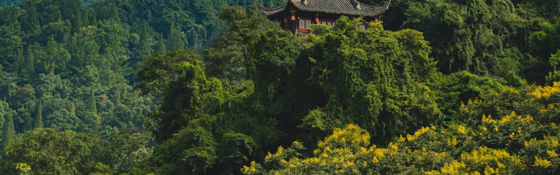 Chengdu Jincheng College