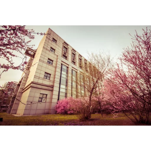 沈阳理工大学