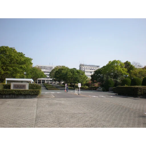 Chubu University