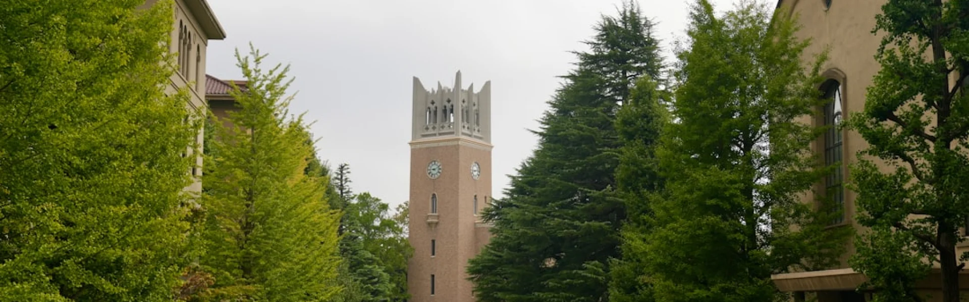早稻田大学