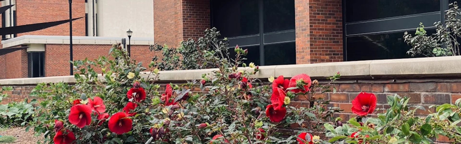 Wichita State University