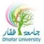 德霍尔大学 logo