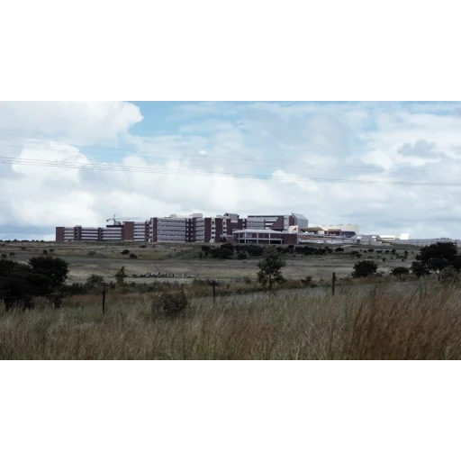 沃尔特·西苏鲁大学