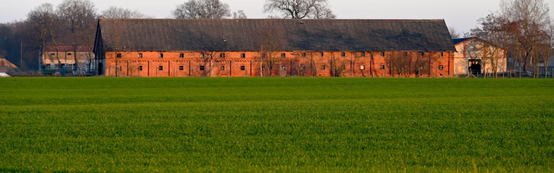 Berkshire College of Agriculture