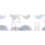 University of Dayton logo