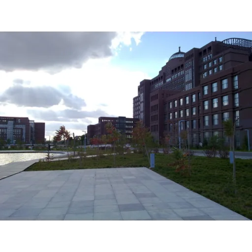 内蒙古大学 logo