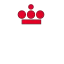 胡安·卡洛斯国王大学 logo