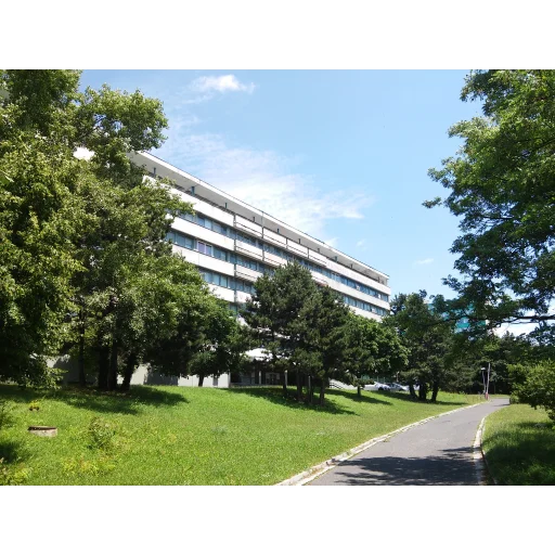 斯洛伐克医科大学