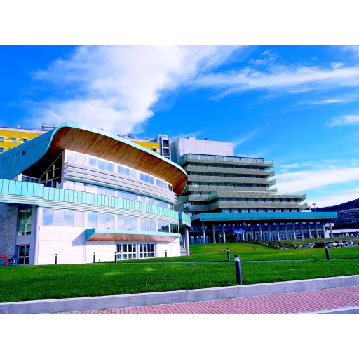 卡坦扎罗大希腊大学