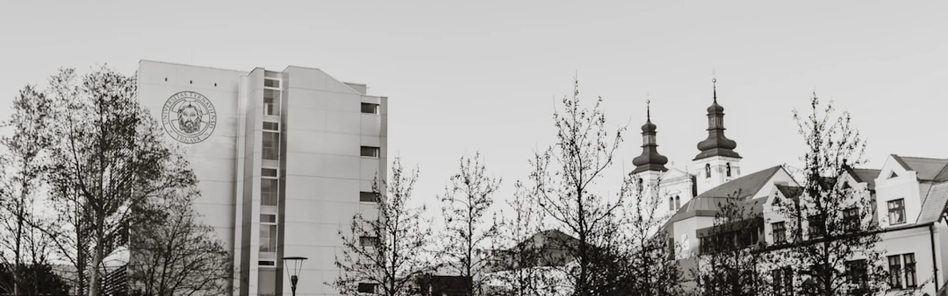 圣西里尔与麦多德大学
