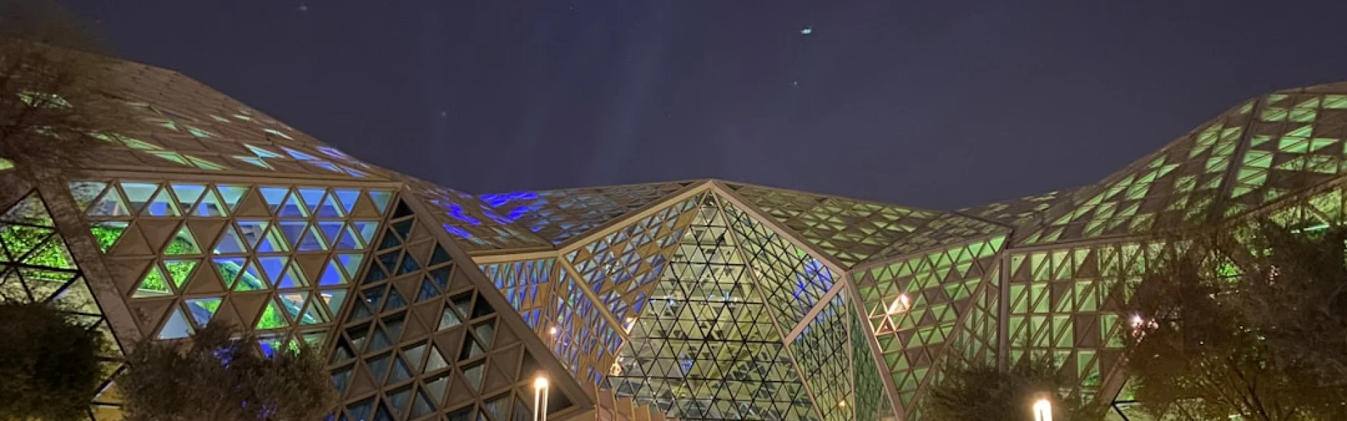 Riyadh Elm University